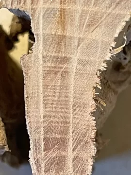 [Hearth.com] Wood ID