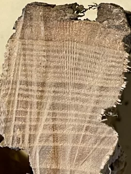 [Hearth.com] Wood ID