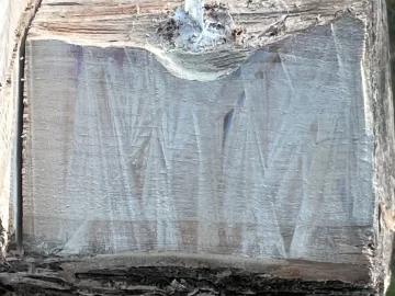 [Hearth.com] Wood ID