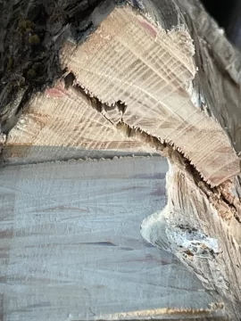 [Hearth.com] Wood ID