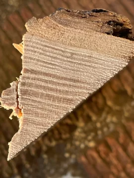 [Hearth.com] Wood ID