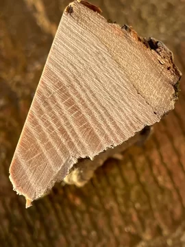 [Hearth.com] Wood ID