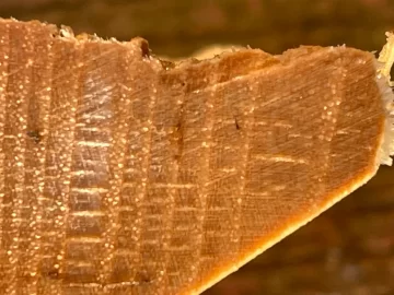 [Hearth.com] Wood ID