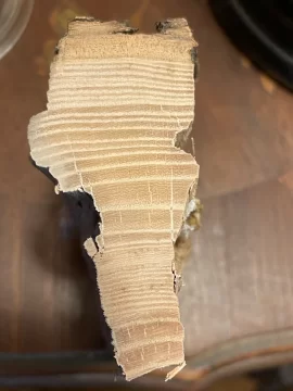 [Hearth.com] Wood ID