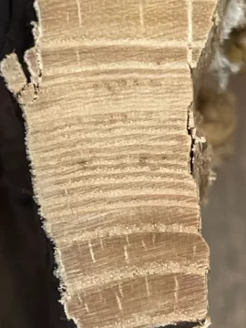 [Hearth.com] Wood ID