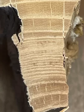 [Hearth.com] Wood ID