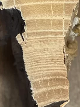 [Hearth.com] Wood ID