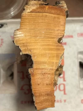 [Hearth.com] Wood ID