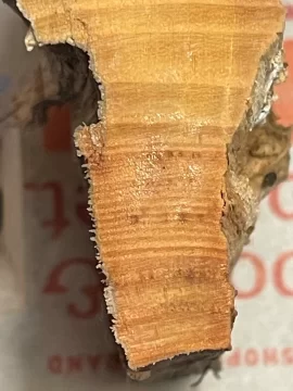 [Hearth.com] Wood ID