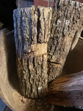 [Hearth.com] Wood ID