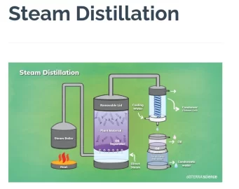 [Hearth.com] Conversion boiler to furnace