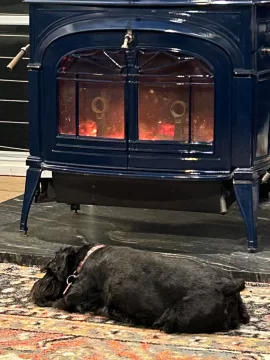 [Hearth.com] What Is In Your Stove Right Now?