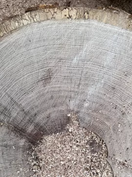 [Hearth.com] Wood ID