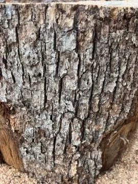 [Hearth.com] Wood ID