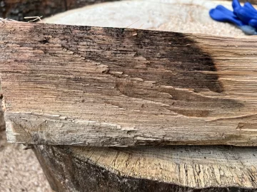 [Hearth.com] Wood ID