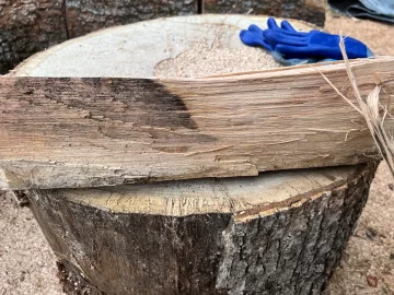 [Hearth.com] Wood ID