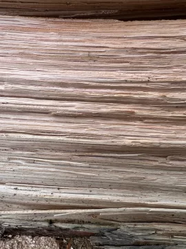 [Hearth.com] Wood ID