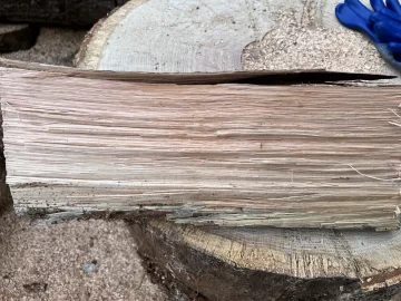 [Hearth.com] Wood ID