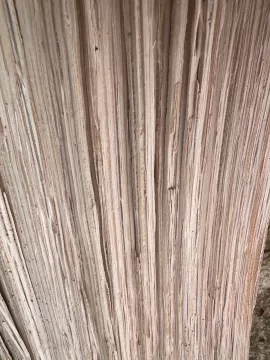 [Hearth.com] Wood ID