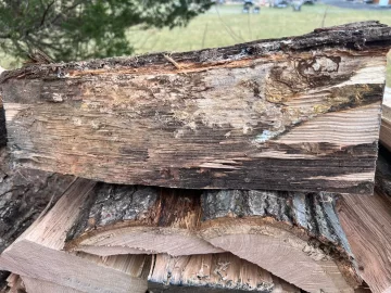 [Hearth.com] Wood ID