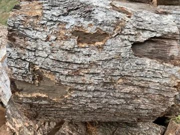 [Hearth.com] Wood ID