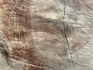 [Hearth.com] Wood ID