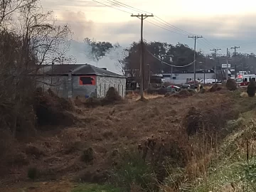 [Hearth.com] What Is In Your Stove Right Now?