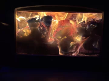 [Hearth.com] What Is In Your Stove Right Now?