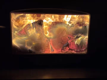 [Hearth.com] What Is In Your Stove Right Now?