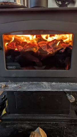 [Hearth.com] What Is In Your Stove Right Now?