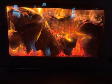 [Hearth.com] What Is In Your Stove Right Now?