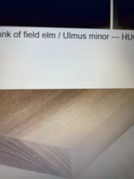 [Hearth.com] Wood ID