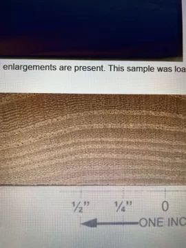 [Hearth.com] Wood ID