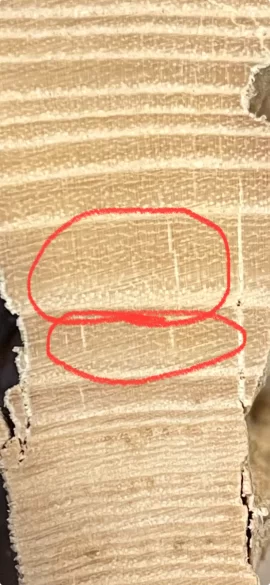 [Hearth.com] Wood ID