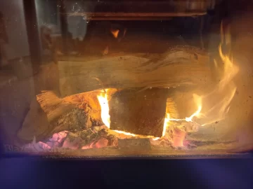 [Hearth.com] What Is In Your Stove Right Now?