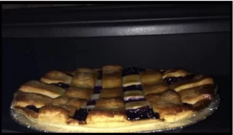 [Hearth.com] Aladdin Contour Pie Warmer compartment glass door hinge broke off!