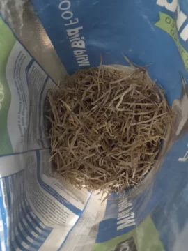 [Hearth.com] Questions heading into 3rd season with Blaze King Princess 29 Insert