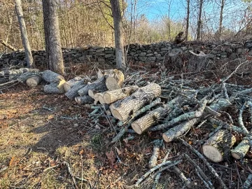 [Hearth.com] Need some opinions