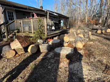 [Hearth.com] Need some opinions