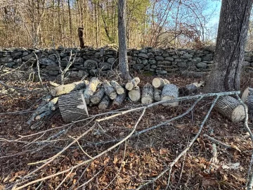 [Hearth.com] Need some opinions