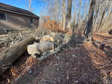 [Hearth.com] Need some opinions