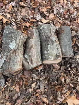 [Hearth.com] What say you gurus of wood ID