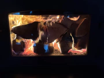 [Hearth.com] What Is In Your Stove Right Now?