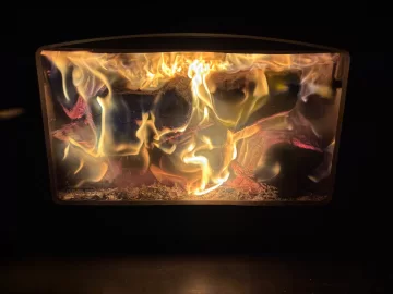 [Hearth.com] What Is In Your Stove Right Now?