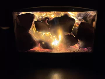 [Hearth.com] What Is In Your Stove Right Now?