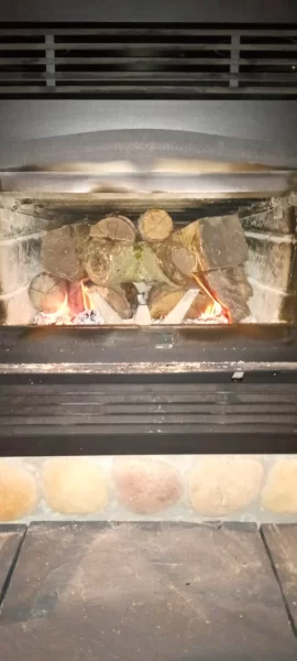 [Hearth.com] What Is In Your Stove Right Now?