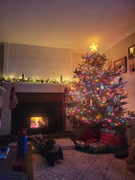 [Hearth.com] What Is In Your Stove Right Now?