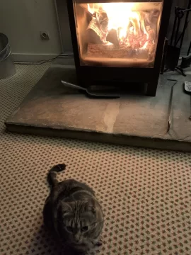 [Hearth.com] What Is In Your Stove Right Now?