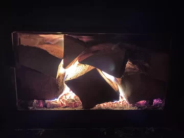 [Hearth.com] What Is In Your Stove Right Now?