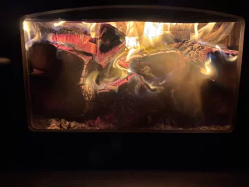 [Hearth.com] What Is In Your Stove Right Now?